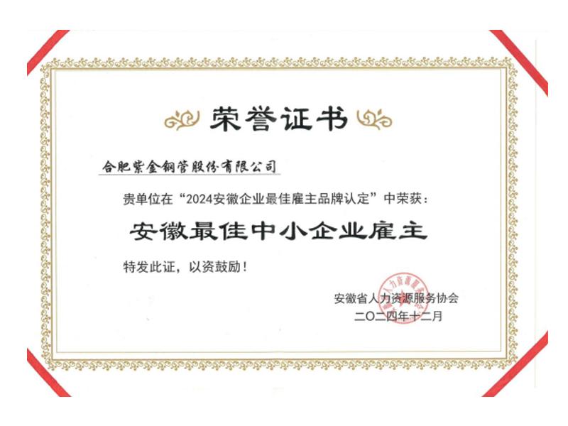 Ziking was awarded the title of Best Small and Medium sized-Enterprise Employer in Anhui Province